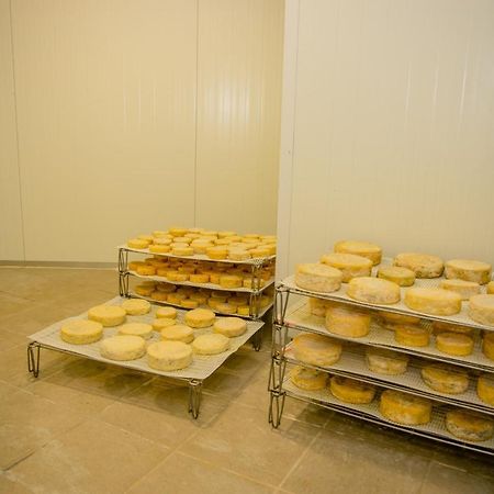 A Queijaria Hotel Barreira  ภายนอก รูปภาพ